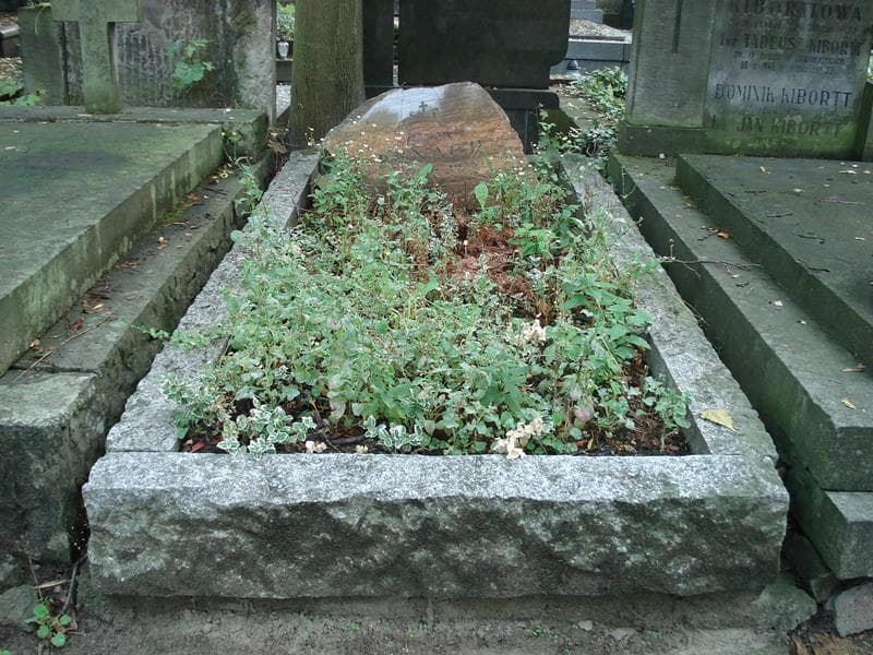 Zdjęcie grobu Zofia Banach (1)