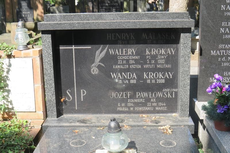 Zdjęcie grobu Józef Pawłowski (2)