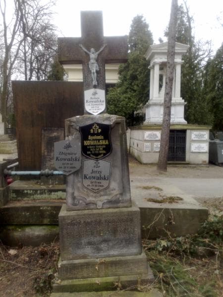 Zdjęcie grobu Eleonora Koeckrytz (1)