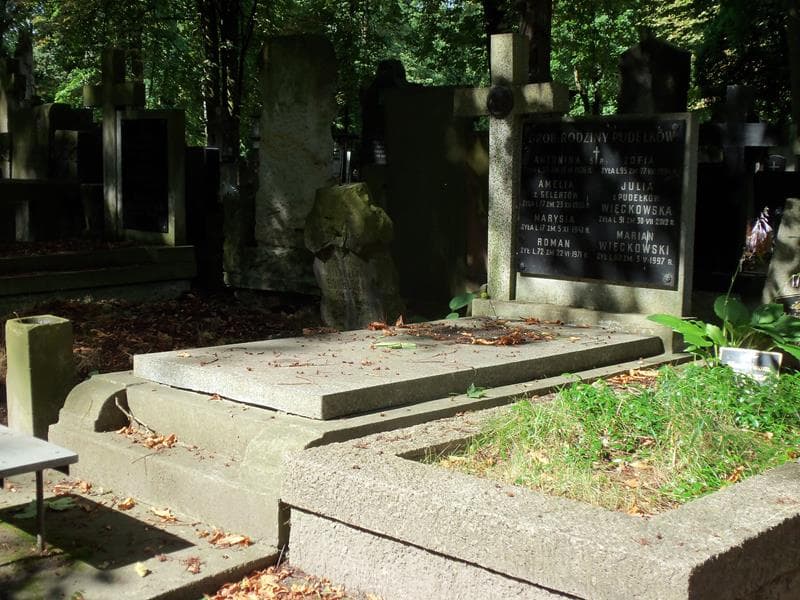 Zdjęcie grobu Antonina Pudełko (1)