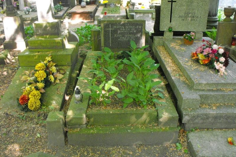 Zdjęcie grobu: Zofia Afanasjew