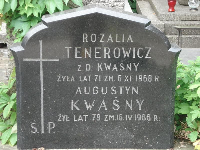 Zdjęcie grobu Rozalia Tenerowicz (2)
