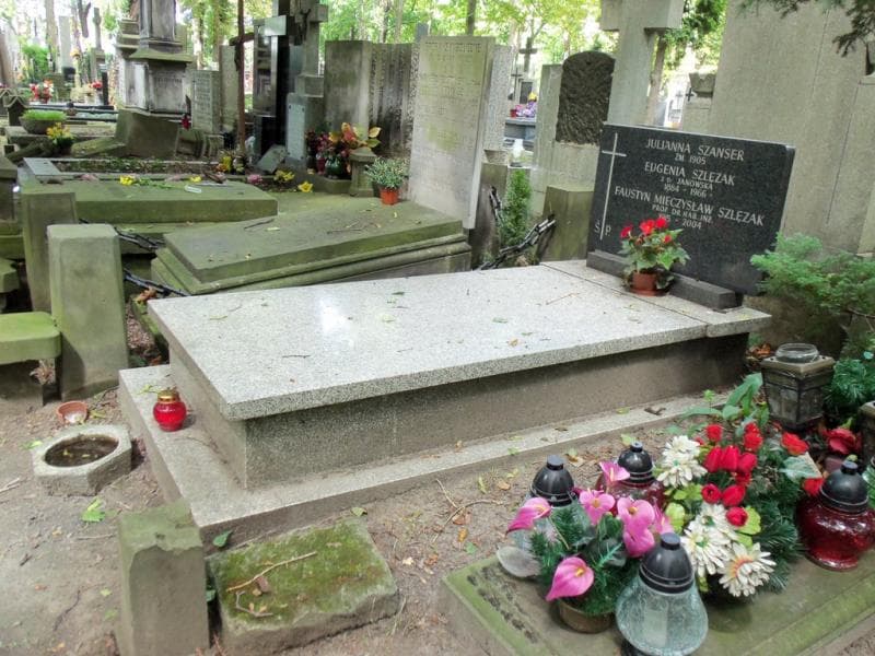 Zdjęcie grobu Faustyn Mieczysław Szlęzak (1)