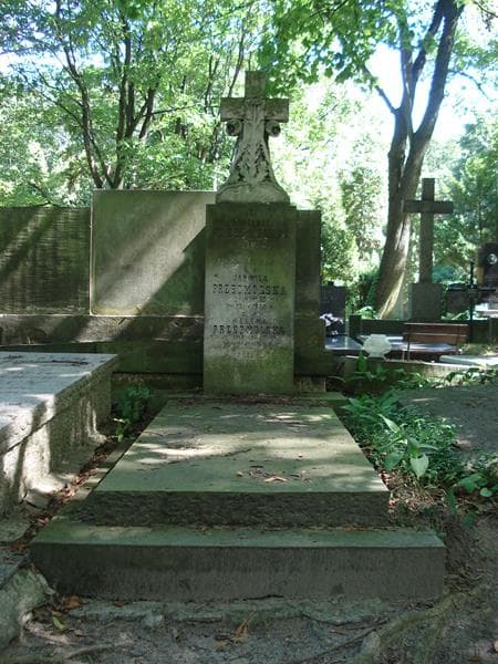 Zdjęcie grobu: Wincenty Przedmolski