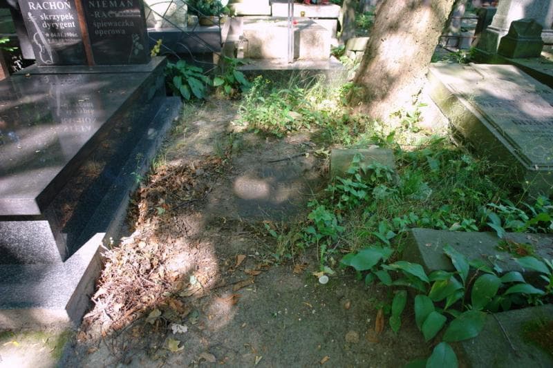Zdjęcie grobu Ignacy Herman (1)