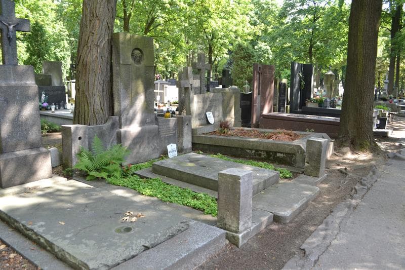 Zdjęcie grobu: Stanisław Siemiątkowski