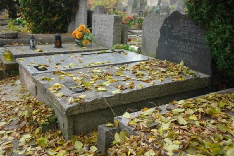 Zdjęcie grobu Władysław Ciemniewski (1)