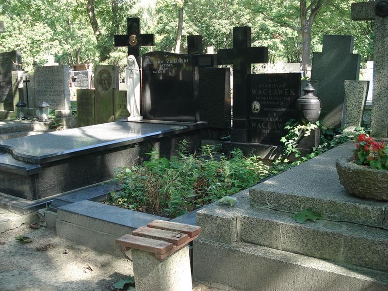 Zdjęcie grobu Stanisław Wacławek (1)