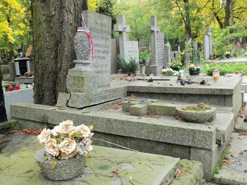 Zdjęcie grobu Wiktor Maleszewski (1)