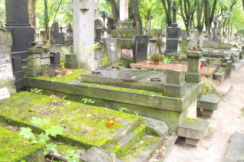 Zdjęcie grobu Downarowiczowie (2)