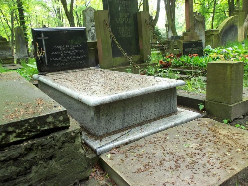Zdjęcie grobu Janina Malikowska (1)