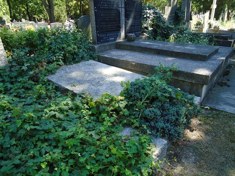 Zdjęcie grobu Zofia Nierojewska (2)