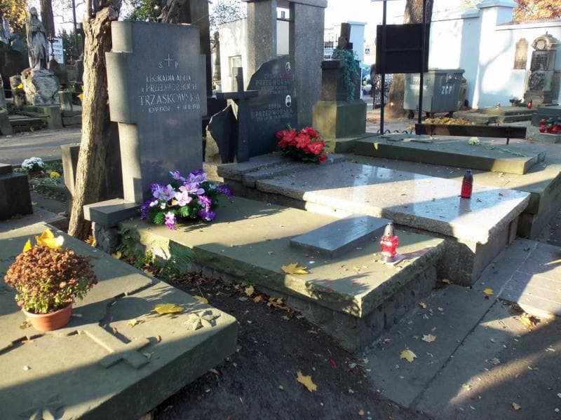 Zdjęcie grobu Leokadia Anna Trzaskowska (1)