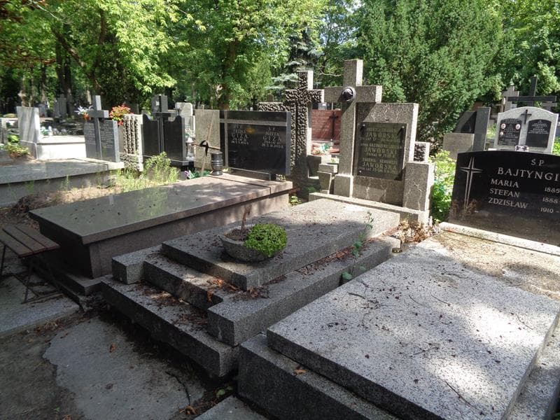 Zdjęcie grobu: Kazimierz Julian Jaworski