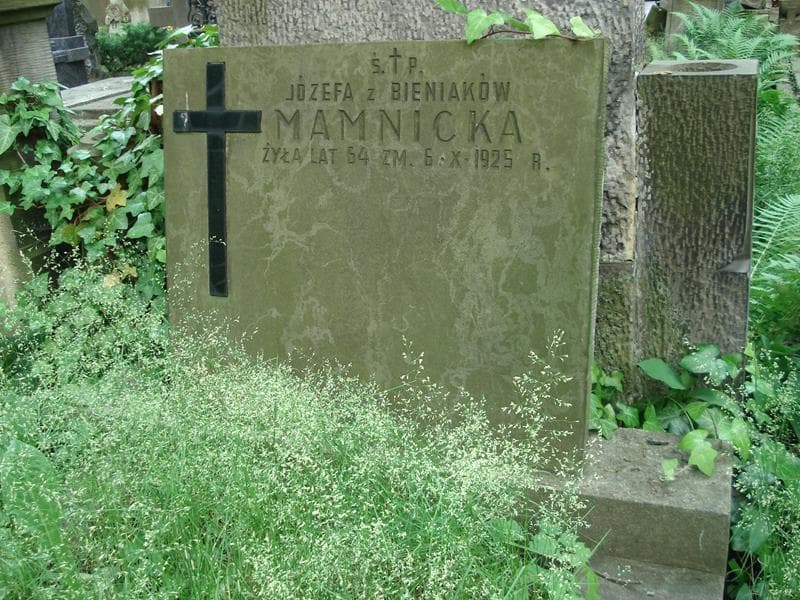 Zdjęcie grobu Józefa Mamnicka (2)