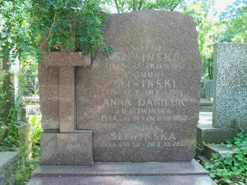 Zdjęcie grobu Anna Daniluk (2)