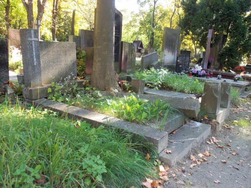 Zdjęcie grobu Aniela Hupertowa (1)