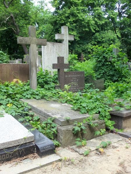 Zdjęcie grobu Kazimierz Wosiński (1)
