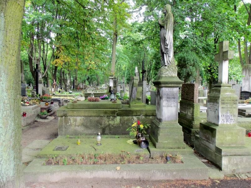 Zdjęcie grobu: Elżbieta Vodzinowska