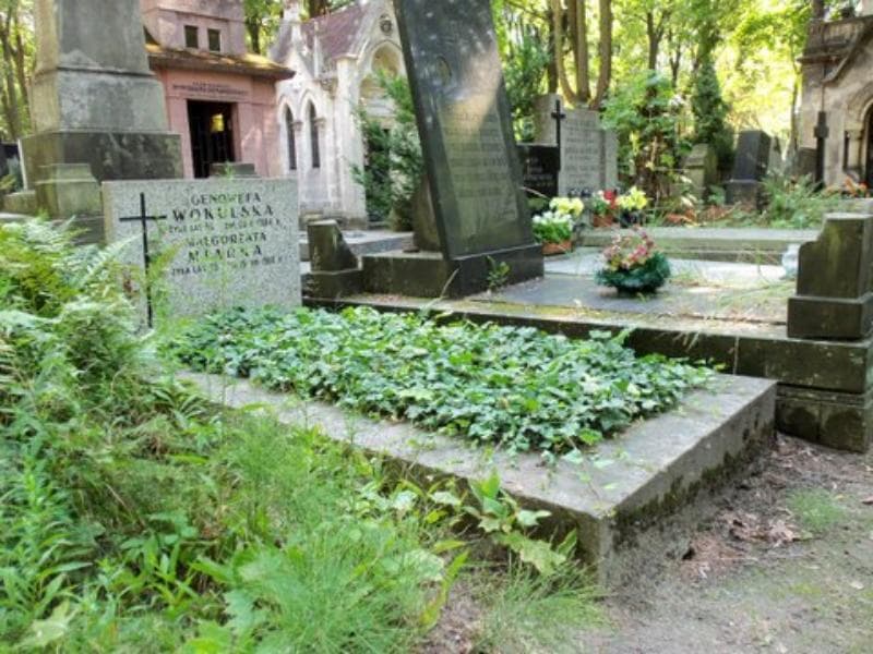 Zdjęcie grobu Genowefa Wokulska (1)