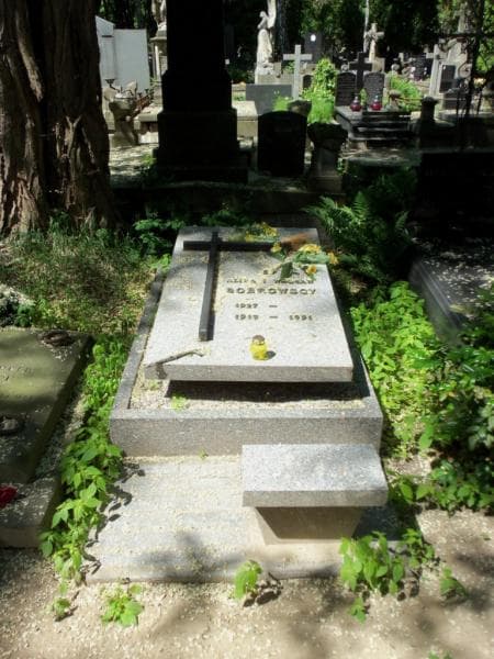 Zdjęcie grobu: Wacław Bobrowski