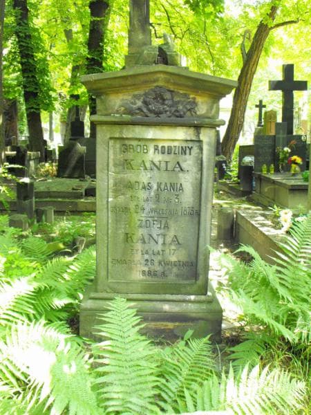 Zdjęcie grobu Józef Marczewski (1)