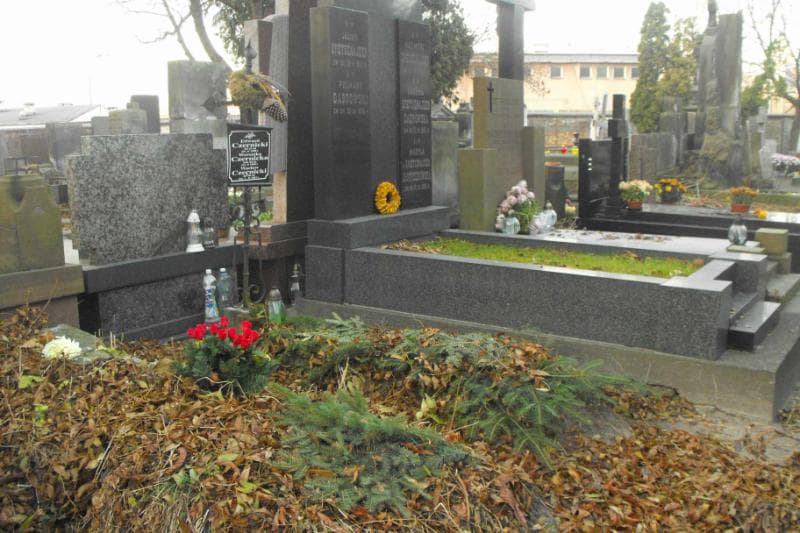 Zdjęcie grobu Edward Czernicki (1)