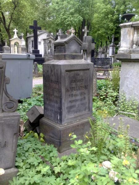 Zdjęcie grobu Ewa Kobylańska (1)