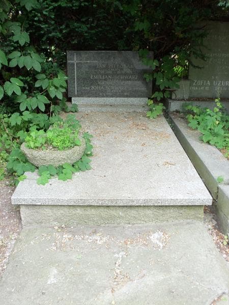 Zdjęcie grobu: Emilian Schwarz