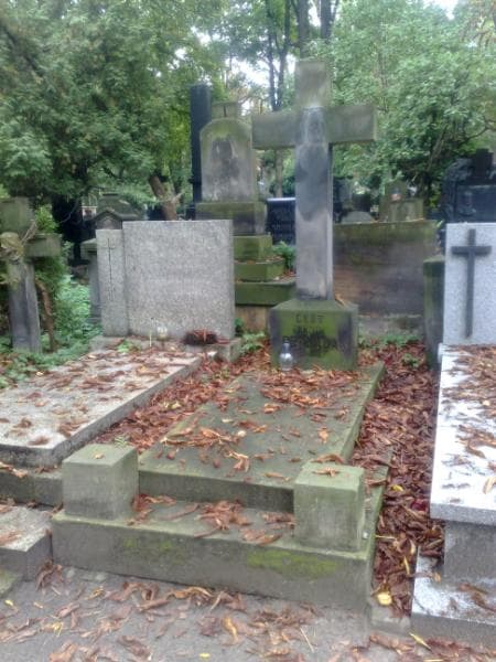 Zdjęcie grobu: Juljan Penkala