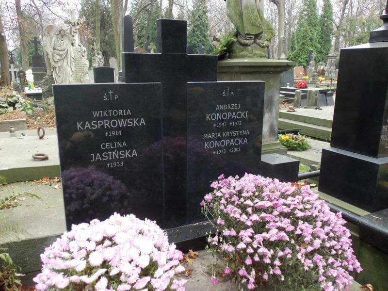 Zdjęcie grobu Franciszek Jasinski (2)