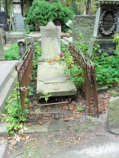 Zdjęcie grobu: Maryja Jasieńska