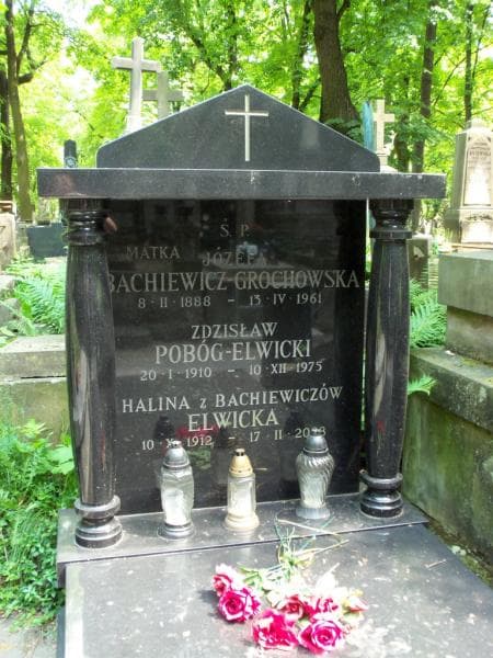 Zdjęcie grobu Zdzisław Pobóg-Elwicki (2)