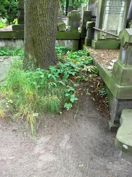Zdjęcie grobu: Pole Grobowe