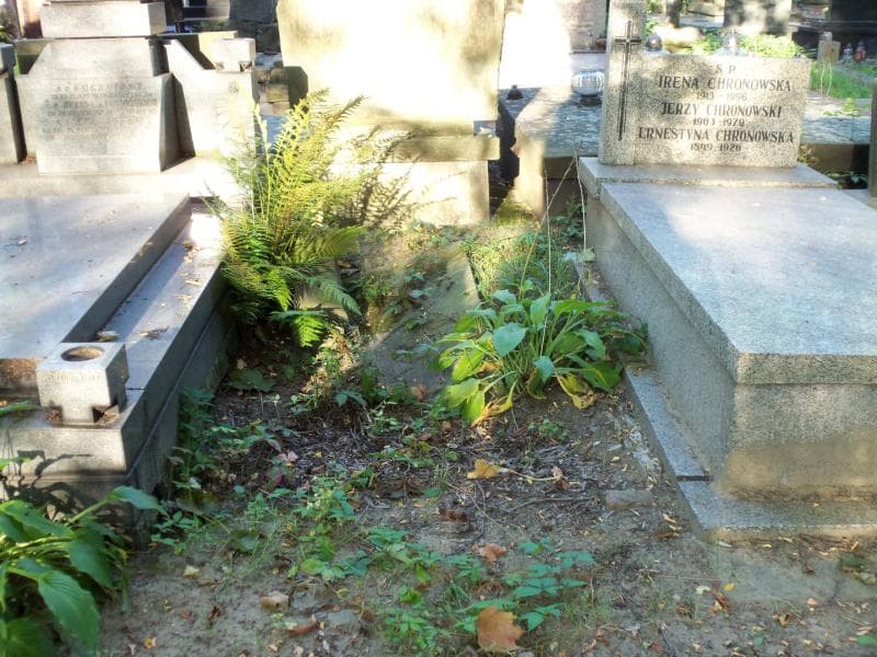 Zdjęcie grobu: Bronisława Kochnowska