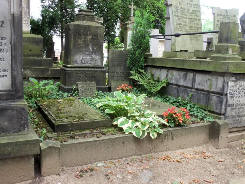 Zdjęcie grobu Antoni Paszkowski (1)