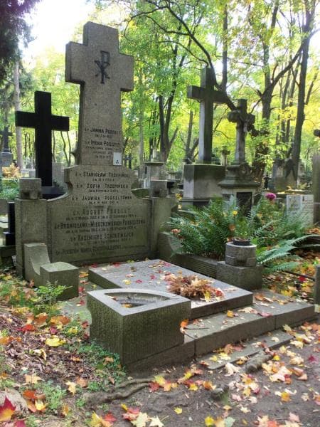 Zdjęcie grobu Zofia Trzepińska (1)