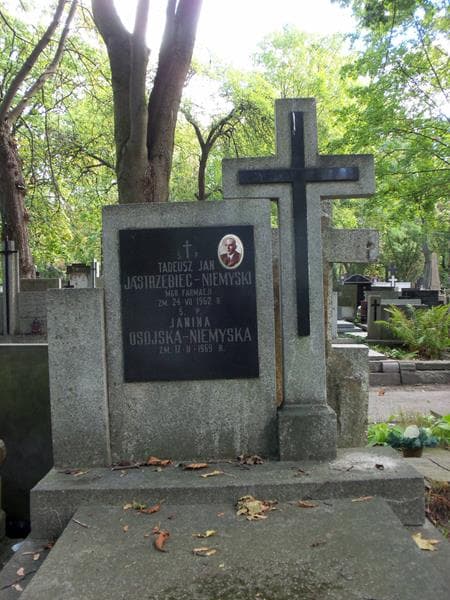 Zdjęcie grobu Tadeusz Jan Jastrzębiec-Niemyski (2)