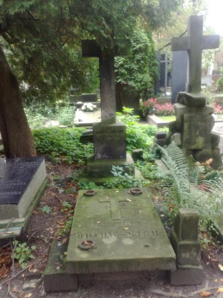 Zdjęcie grobu: Emilja Orłowska