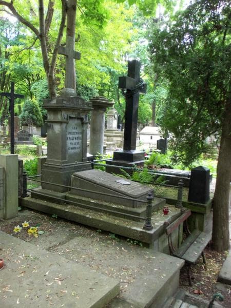 Zdjęcie grobu Henryk Krajewski (1)
