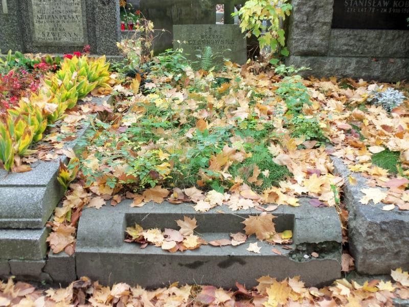 Zdjęcie grobu: Bożena Czarkowska