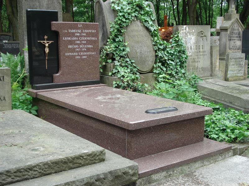 Zdjęcie grobu Edward Czermiński (1)