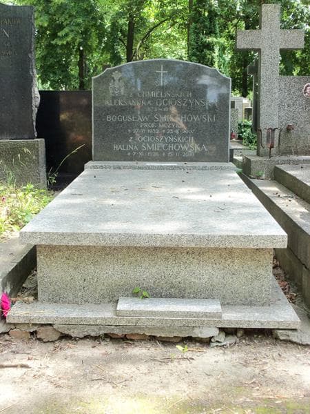 Zdjęcie grobu: Aleksandra Ocioszyńska