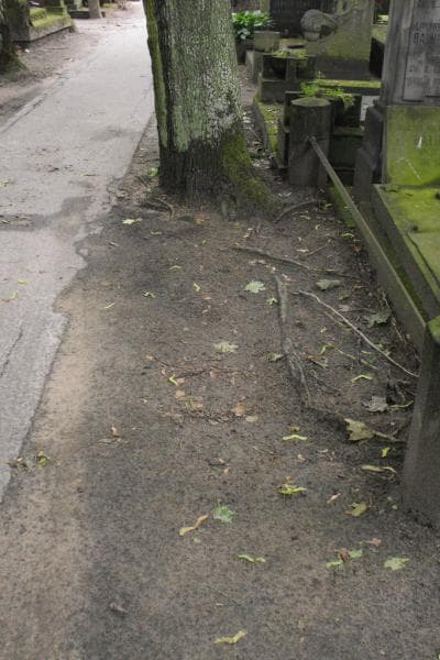 Zdjęcie grobu: Pole Grobowe