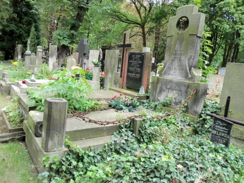Zdjęcie grobu Michalina Pobratyn (1)