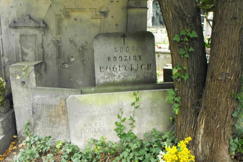 Zdjęcie grobu Amelia Bogucka (2)