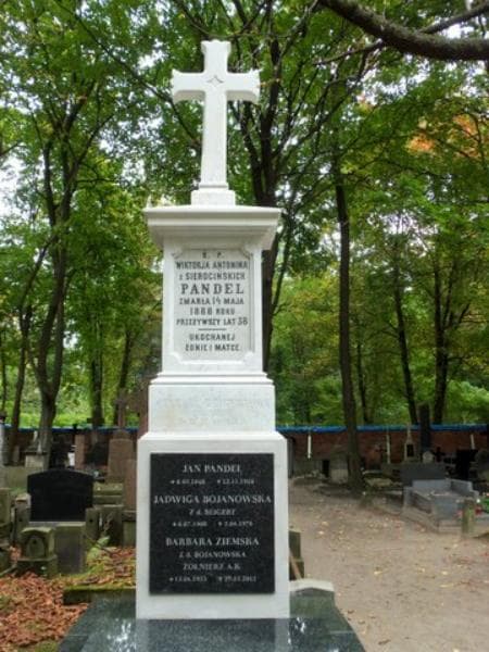 Zdjęcie grobu Cecylia Beigertowa (2)