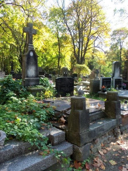 Zdjęcie grobu Emilja Putkowska (1)
