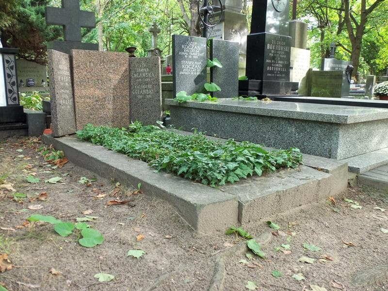 Zdjęcie grobu Karol Hałat (1)