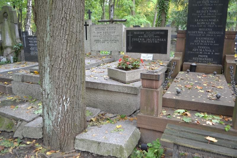 Zdjęcie grobu Marian Jagieliński (1)